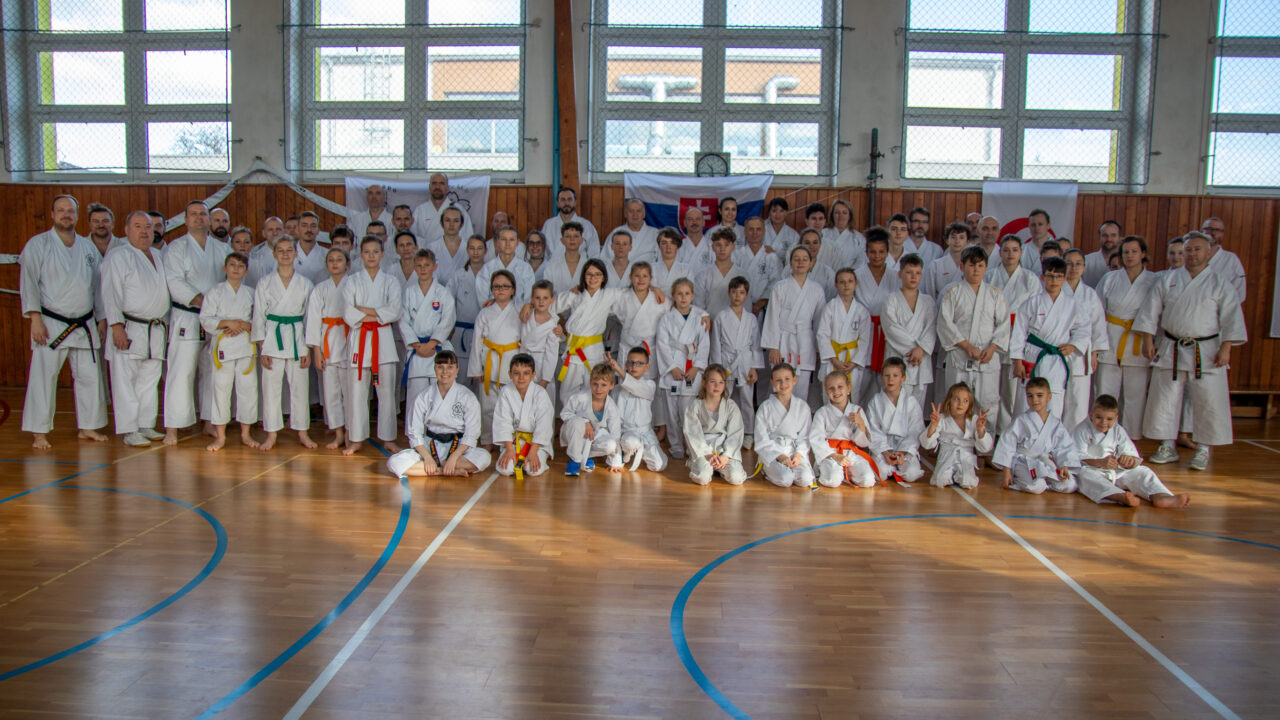 Otvorený seminár karate v Kráľovej pri Senci – foto